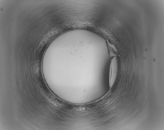 X0000069360687200606021453