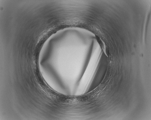 X0000069360688200606021453