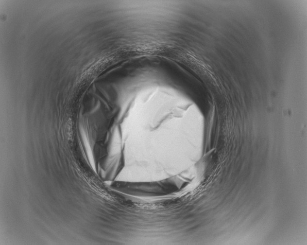 X0000069360689200606021453