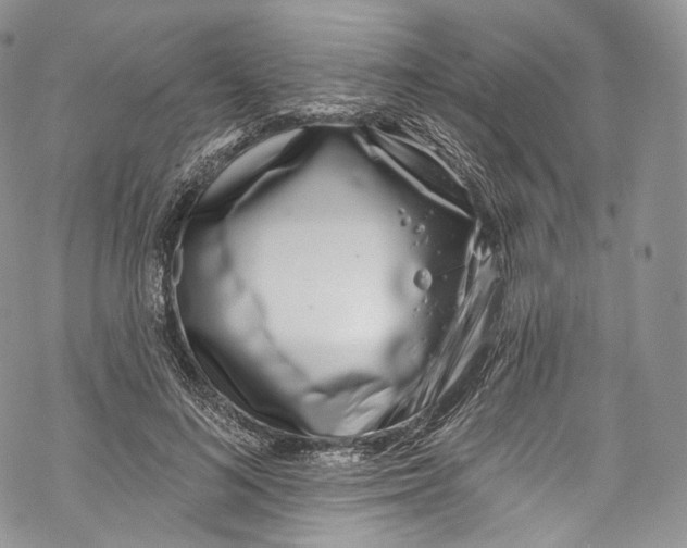 X0000069360692200606021453