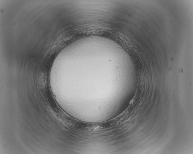 X0000069360695200606021453