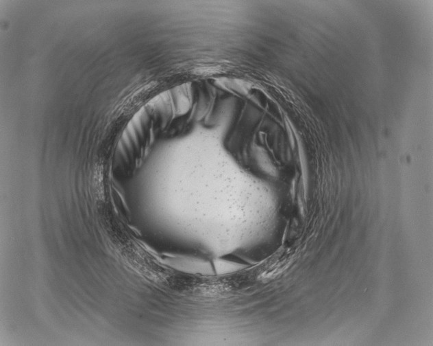 X0000069360696200606021453