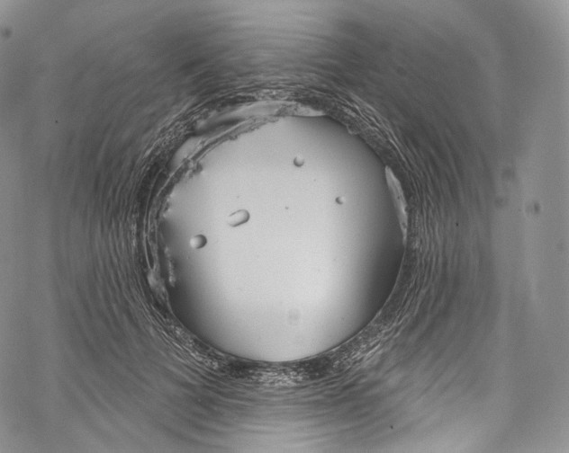 X0000069360697200606021453