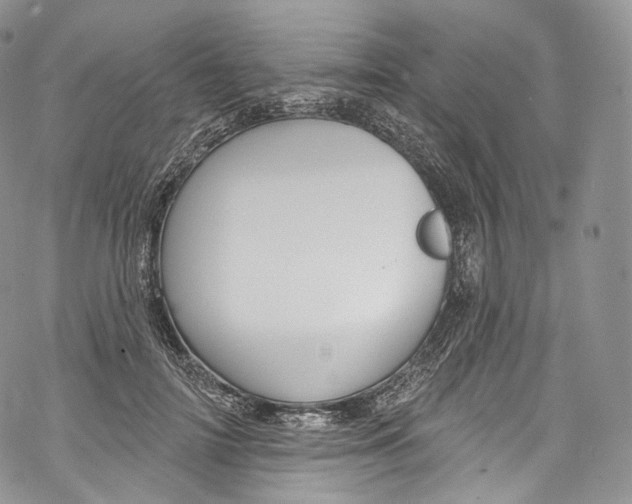 X0000069360698200606021453