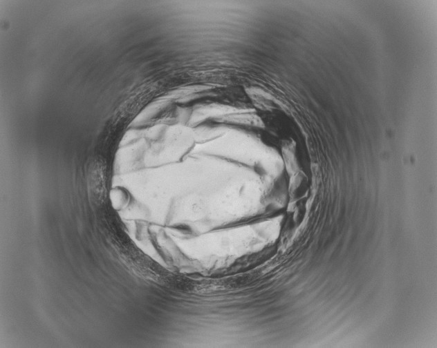 X0000069360699200606021453