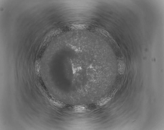 X0000069360701200606021453