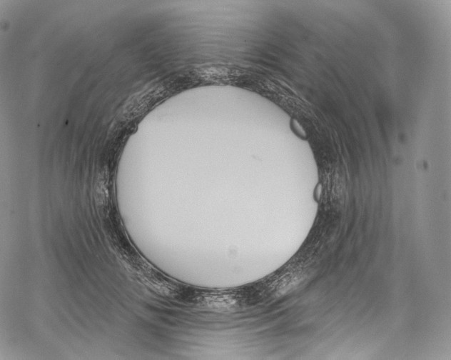 X0000069360702200606021453