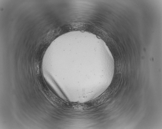 X0000069360703200606021453