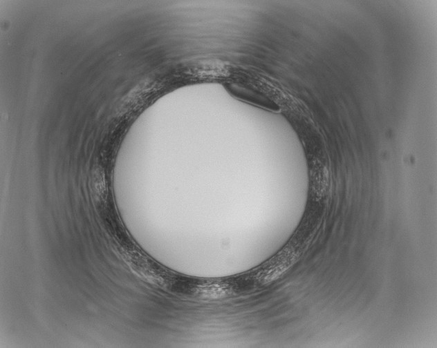 X0000069360704200606021453