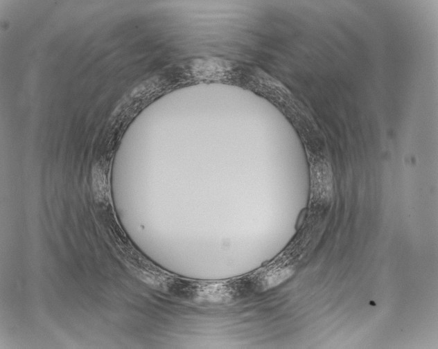 X0000069360705200606021453