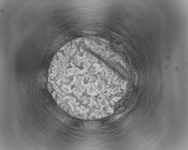 X0000069360707200606021453