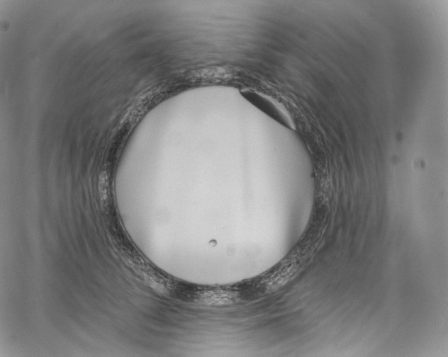 X0000069360708200606021453