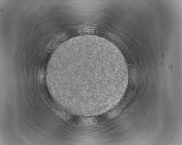 X0000069360709200606021453