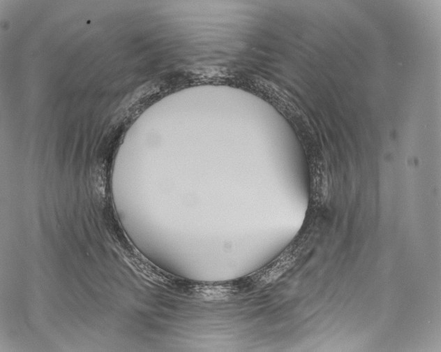 X0000069360710200606021453