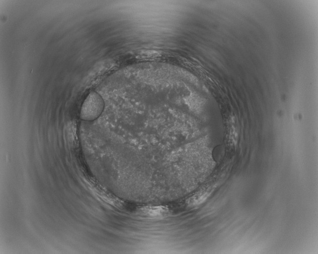 X0000069360711200606021453