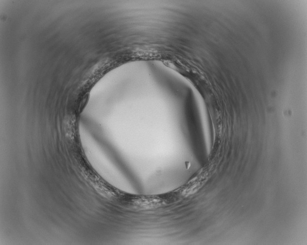 X0000069360712200606021453