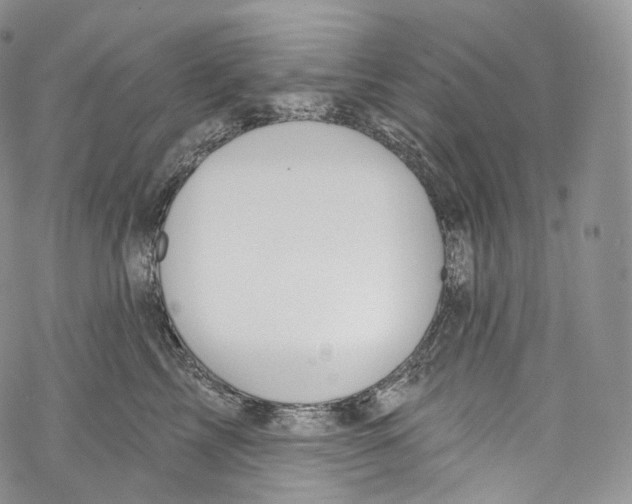 X0000069360713200606021453