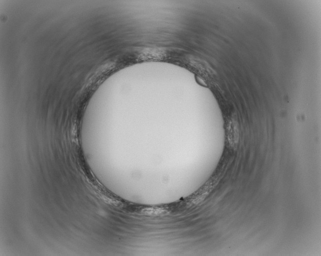 X0000069360714200606021453