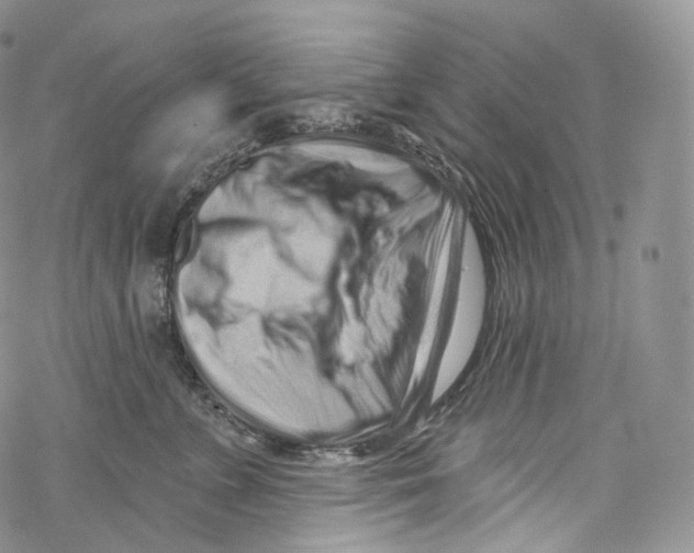 X0000069360715200606021453