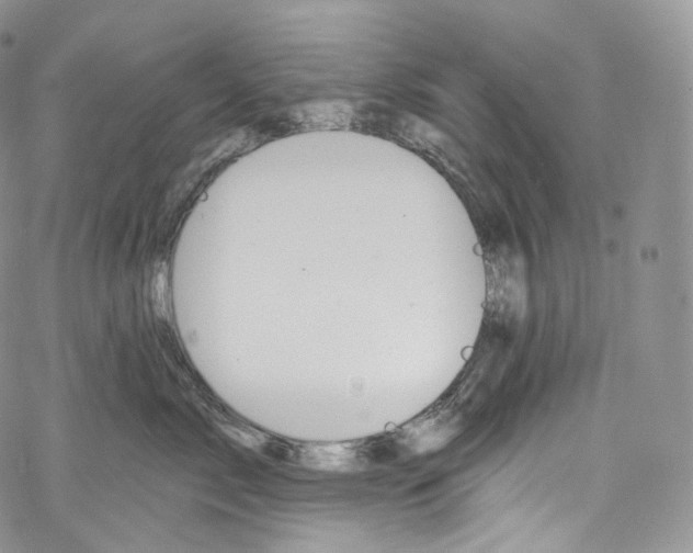 X0000069360717200606021453