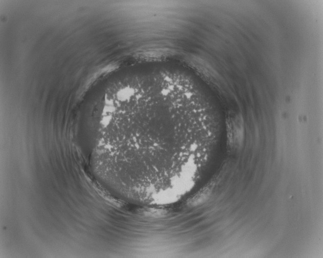 X0000069360718200606021453