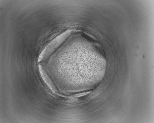 X0000069360720200606021453