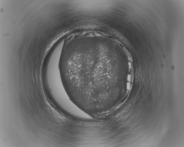 X0000069360722200606021452