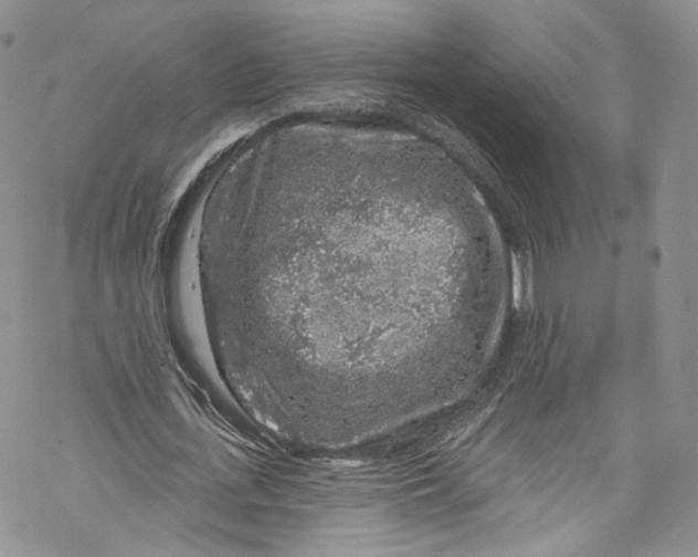 X0000069360723200606021452