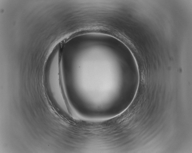 X0000069360724200606021452