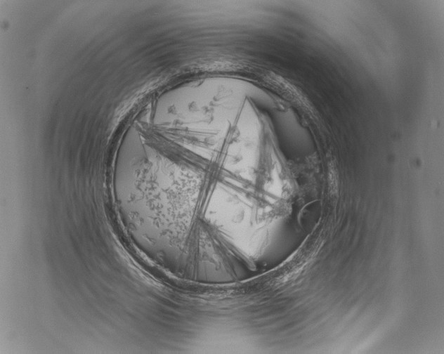 X0000069360725200606021452