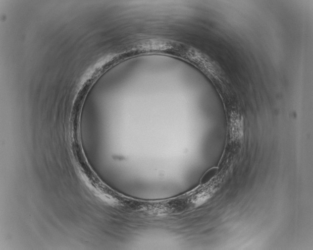 X0000069360726200606021452