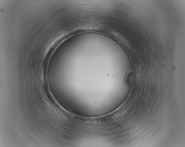 X0000069360727200606021452