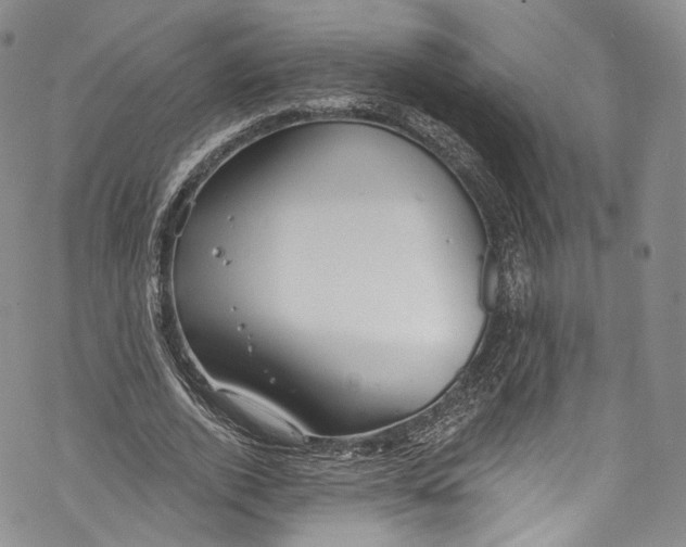 X0000069360728200606021452