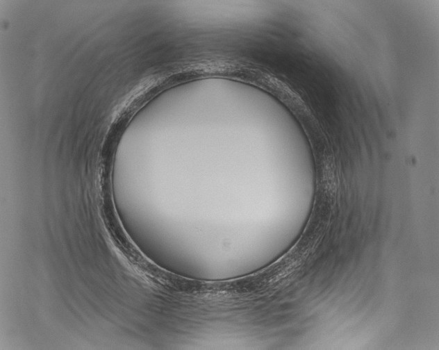 X0000069360730200606021452