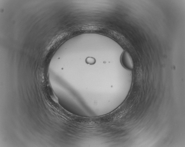 X0000069360731200606021452