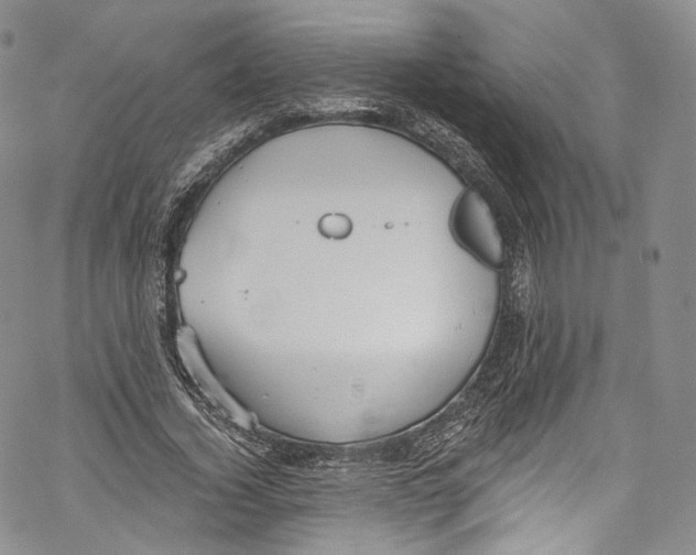 X0000069360732200606021452