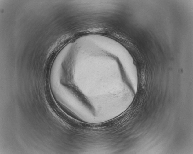 X0000069360734200606021452