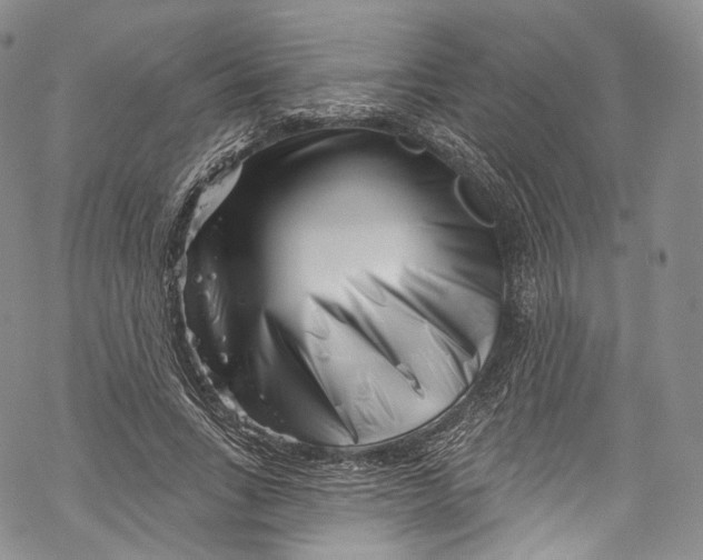 X0000069360735200606021452