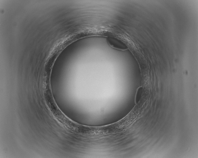 X0000069360736200606021452