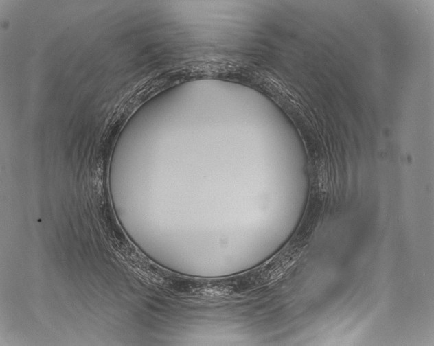 X0000069360737200606021452