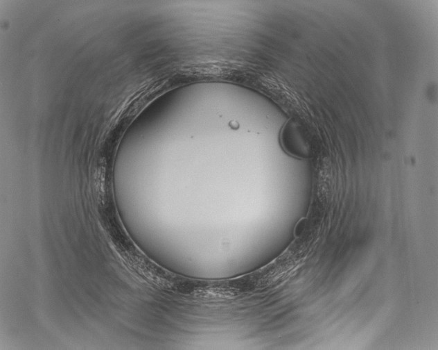 X0000069360739200606021452