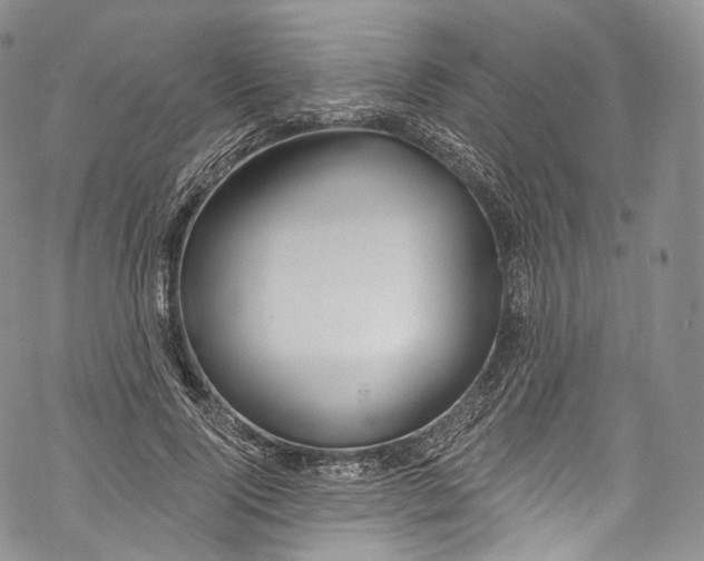 X0000069360740200606021452