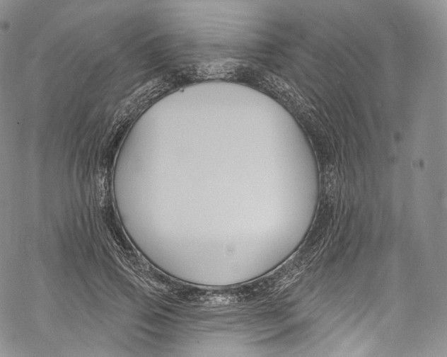 X0000069360741200606021452