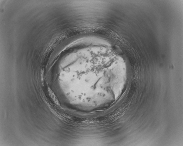 X0000069360742200606021452