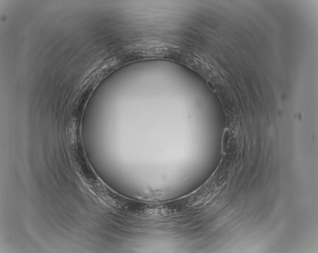 X0000069360744200606021452