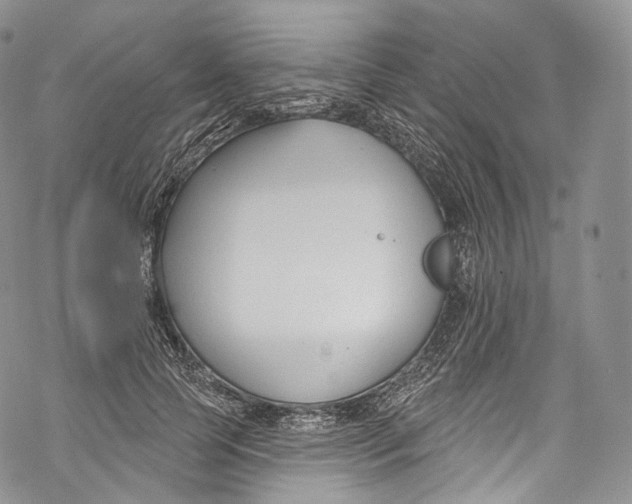 X0000069360745200606021452