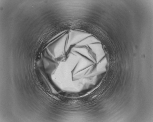 X0000069360748200606021452