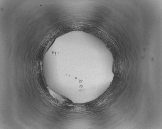 X0000069360750200606021452