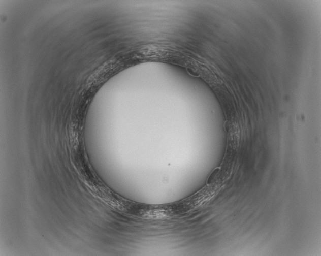 X0000069360751200606021452