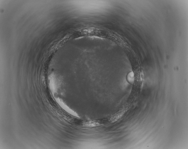 X0000069360754200606021453